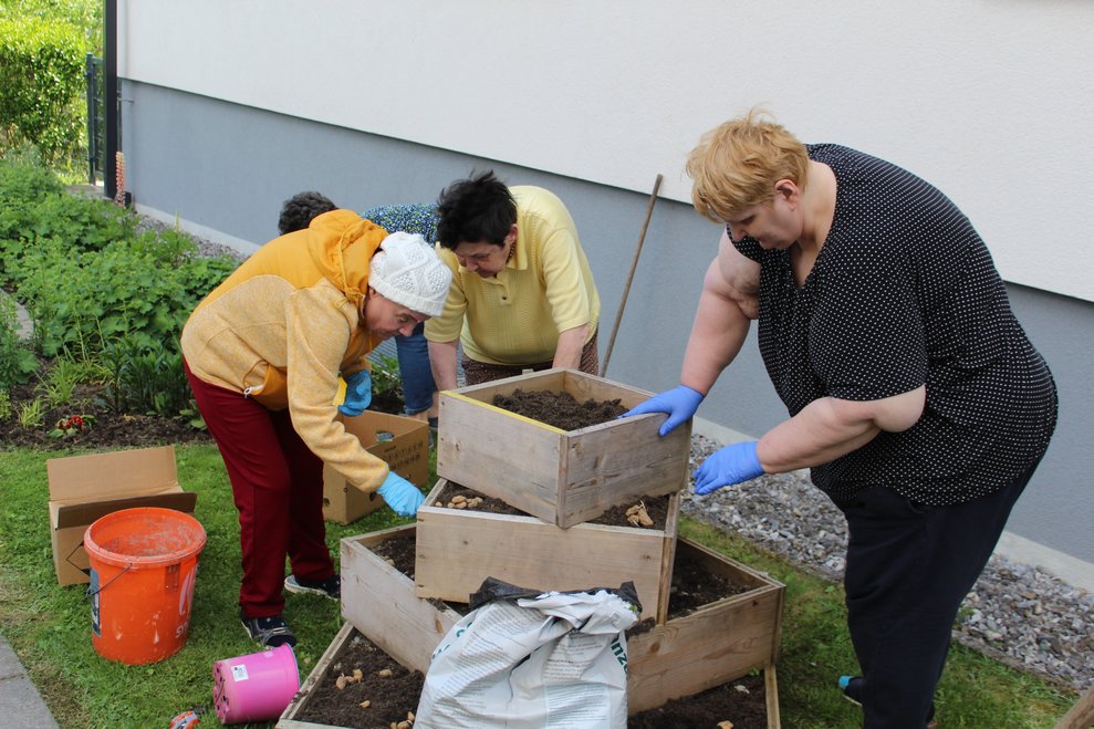 und neu bepflanzt...