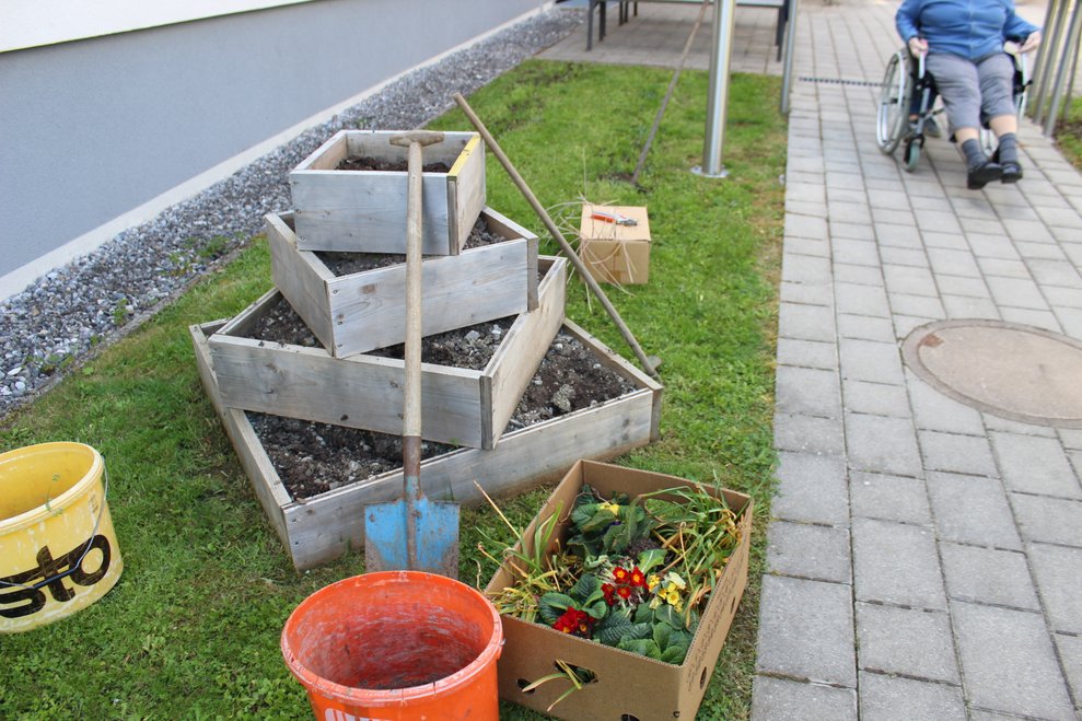 diese wurde frisch mit Erde befüllt...