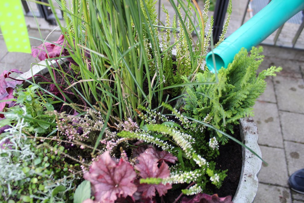 Nicht nur auf Schönheit wurde geachtet,...