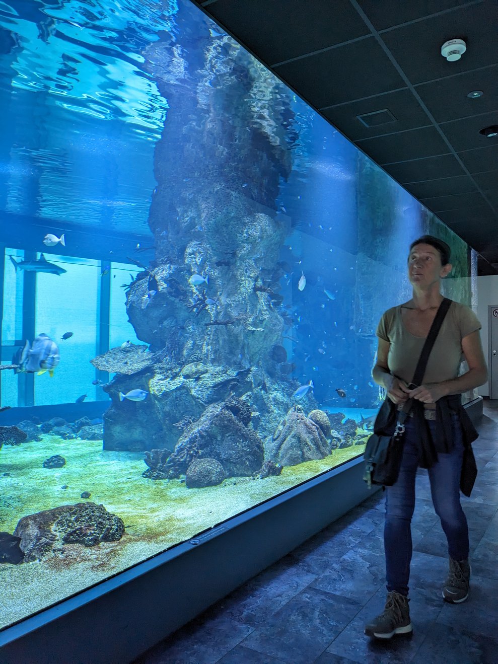 Die Bewohnerinnen und Bewohner...