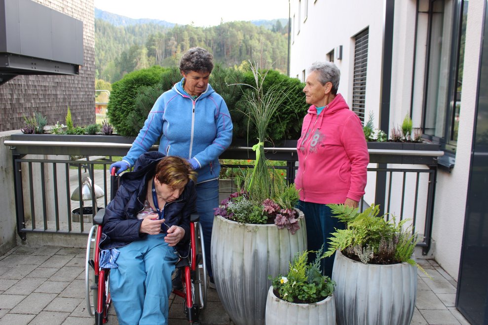 auch als essbare Deko in unserem Caféhaus genutzt.