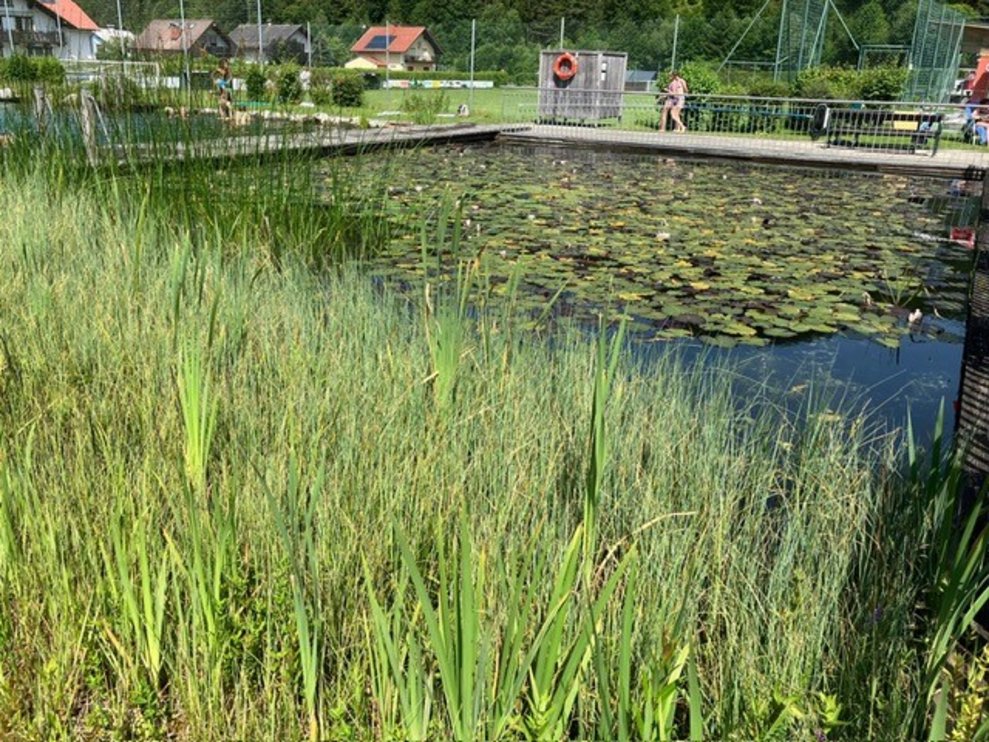 Das kühle Nass war zwar schön anzusehen,...