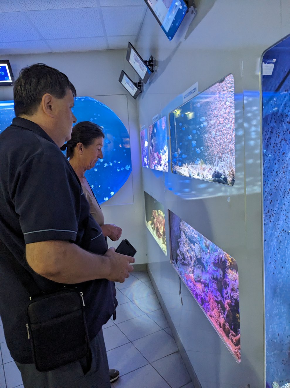 gab es viel zu entdecken.