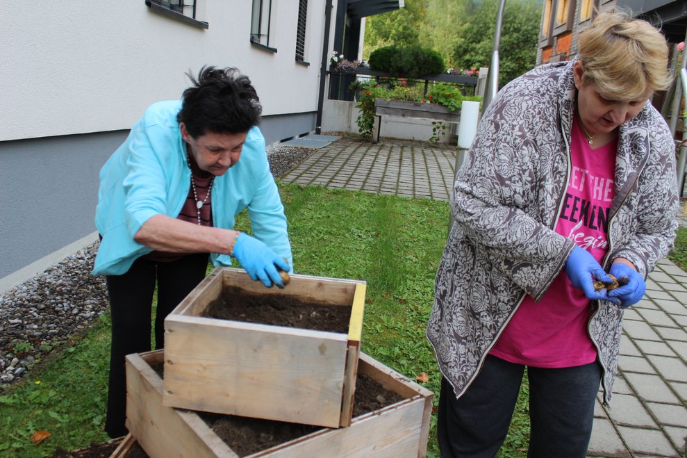 Diese ernteten unsere Bewohnerinnen...