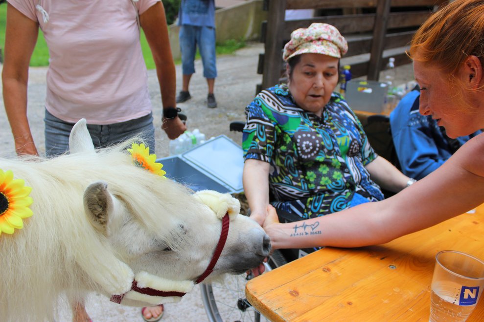 und andere liebkosten dafür das kleine Pony.