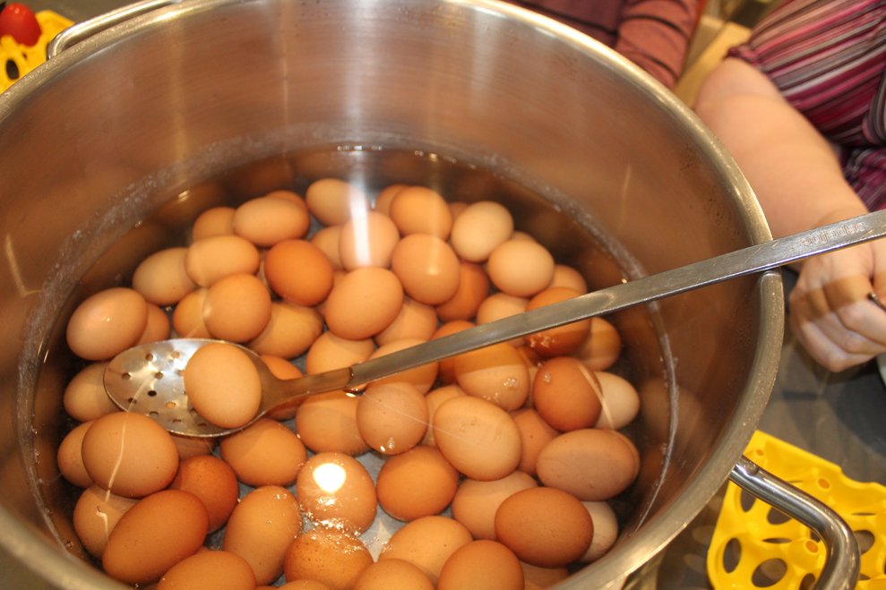Gemeinsam wurden viele Eier gefärbt, welche dann nicht nur zum Osterhasen gebracht wurden...