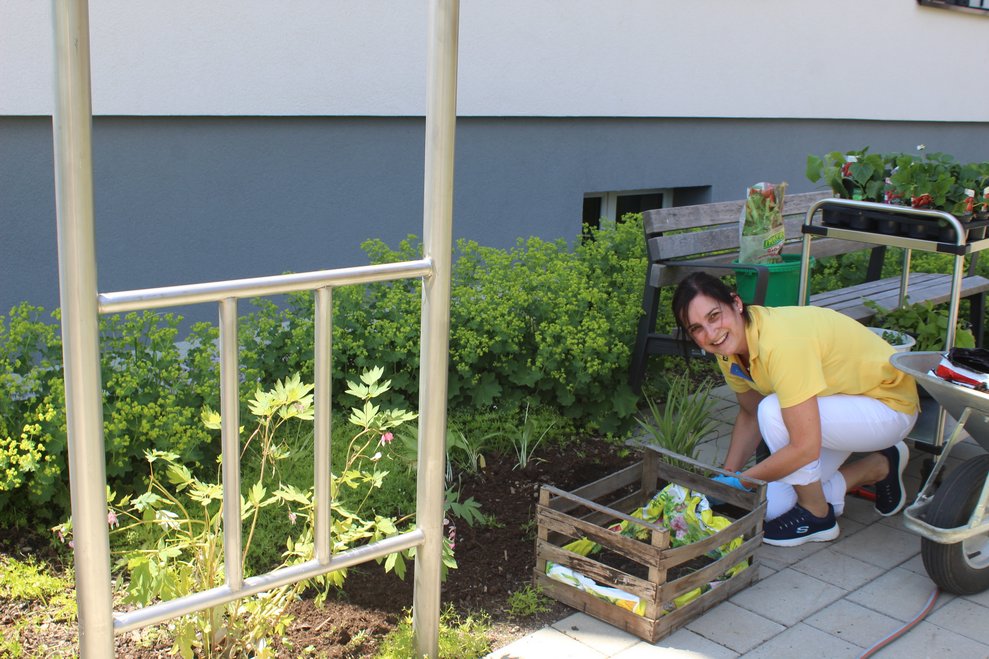 Blumenbeet bepflanzen