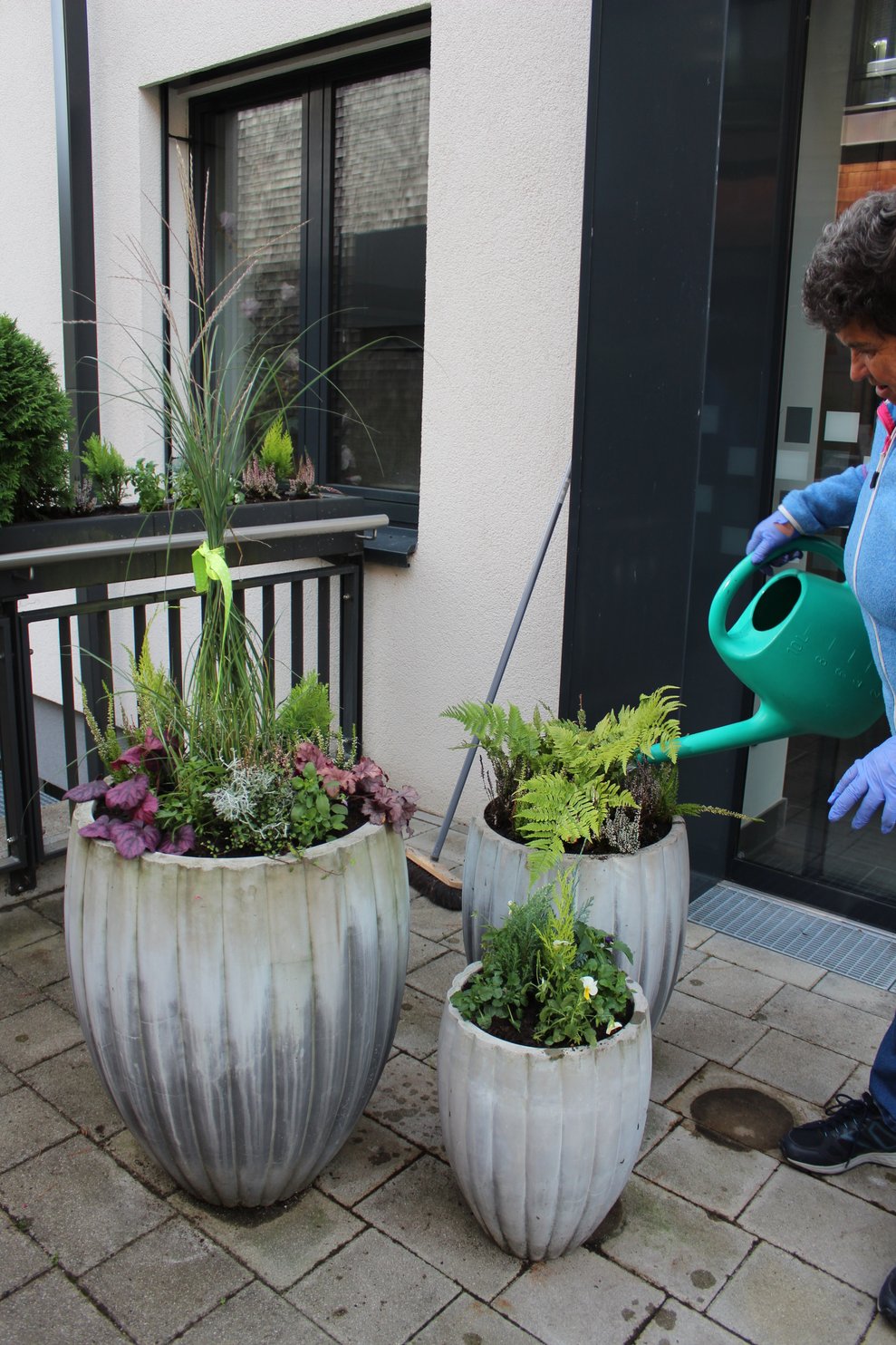 haben unsere BewohnerInnen in das Blumenarrangement vor dem PBZ gesteckt.