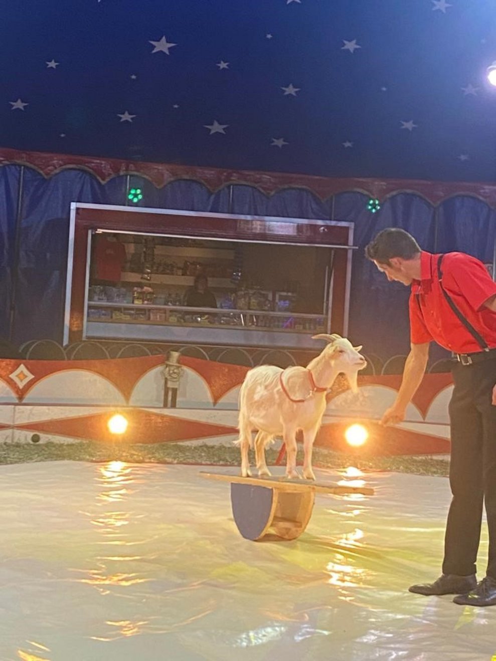 bis hin zu Ziegen, waren alle vertreten.