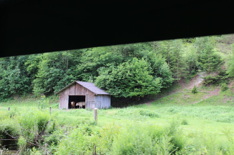Eine Holzhütte im Grünen in der Türnitzer Umgebung