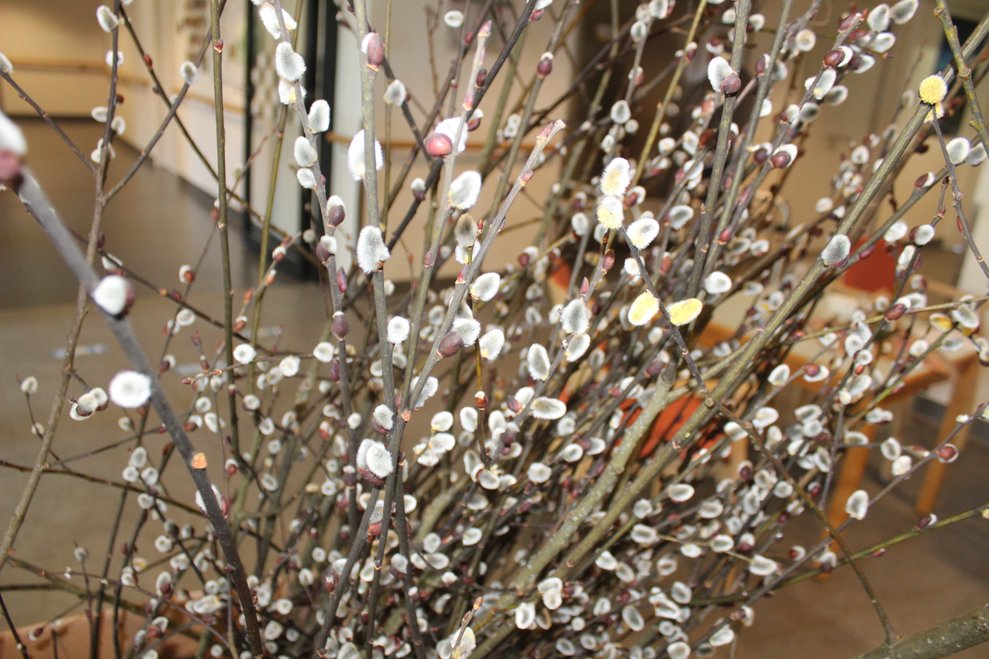 frisch gepflückt...