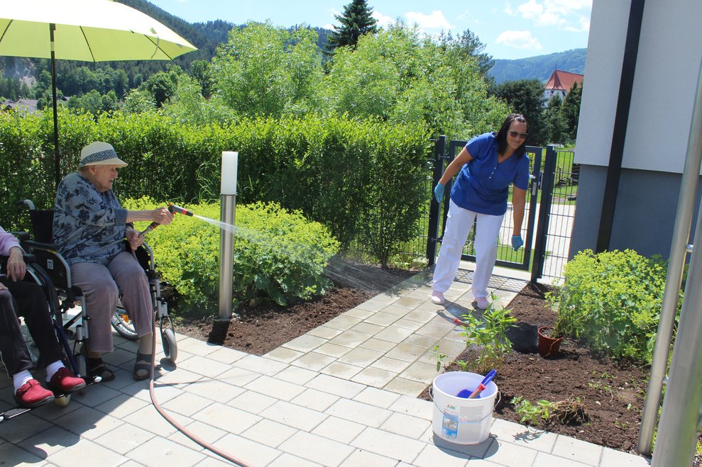 Blumenbeet bepflanzen