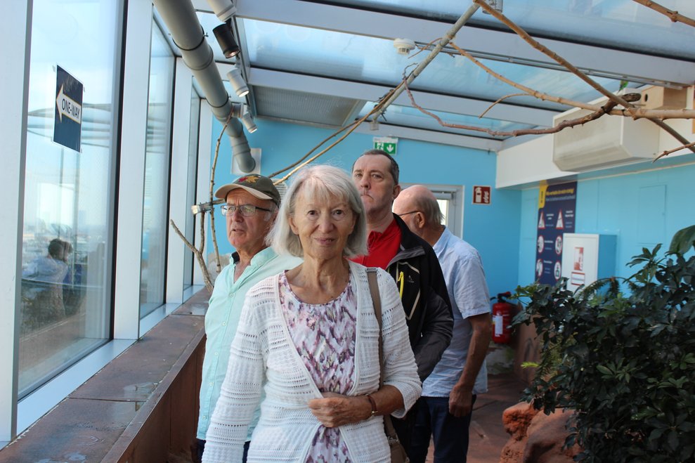 neue Eindrücke zu sammeln...