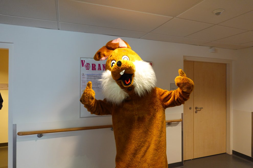 Osterhase freut sich und zeigt die Daumen nach oben.