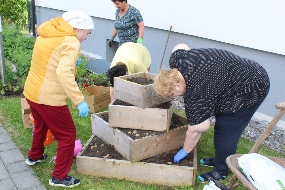 und zwar mit sehr viel Elan.