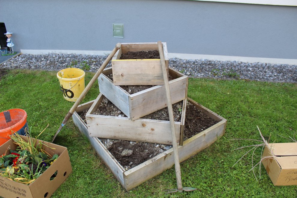Dann nahmen sie unsere Kartoffelpyramide in angriff...