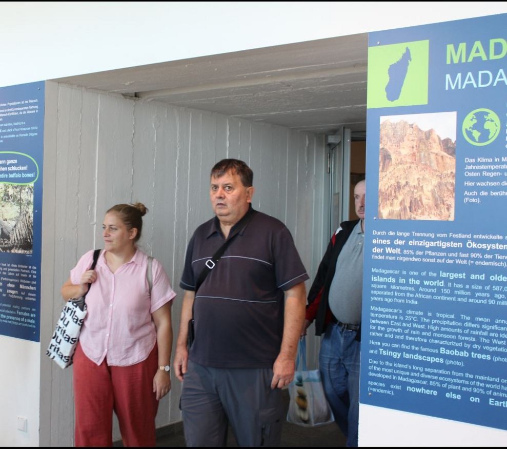 um im Haus des Meeres...