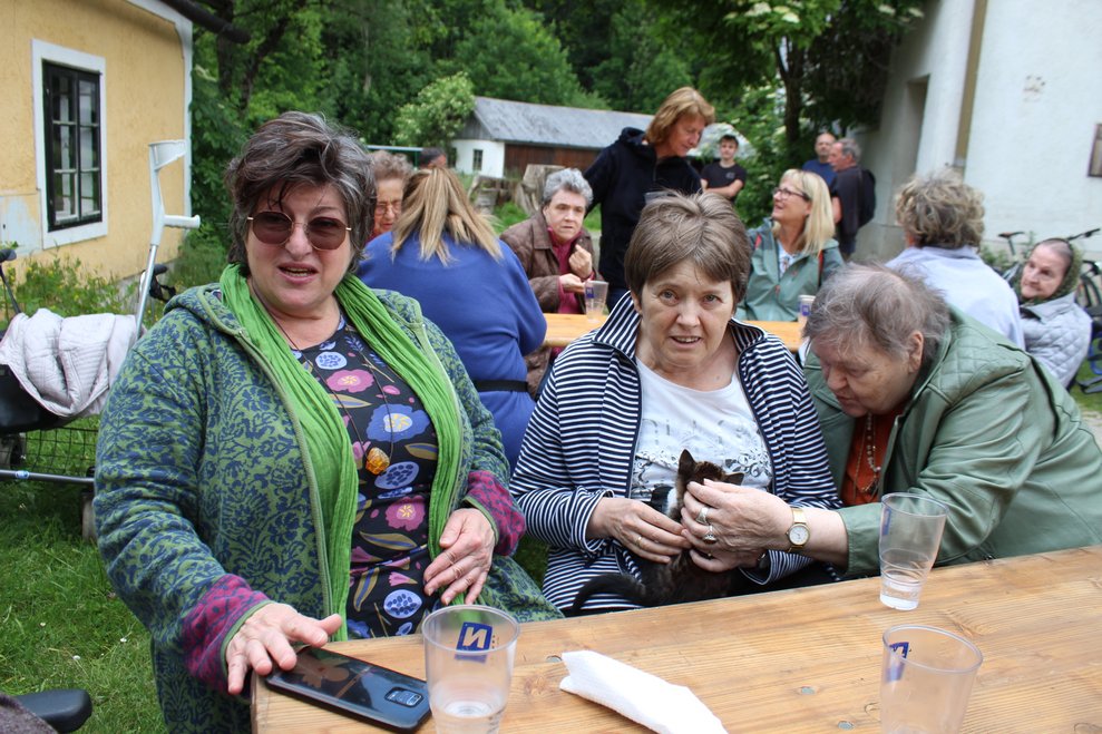 Jedoch hatten es besonders...