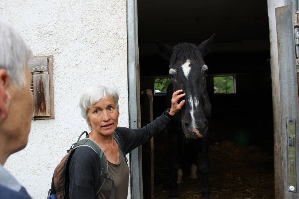 konnten noch einige Tiere...