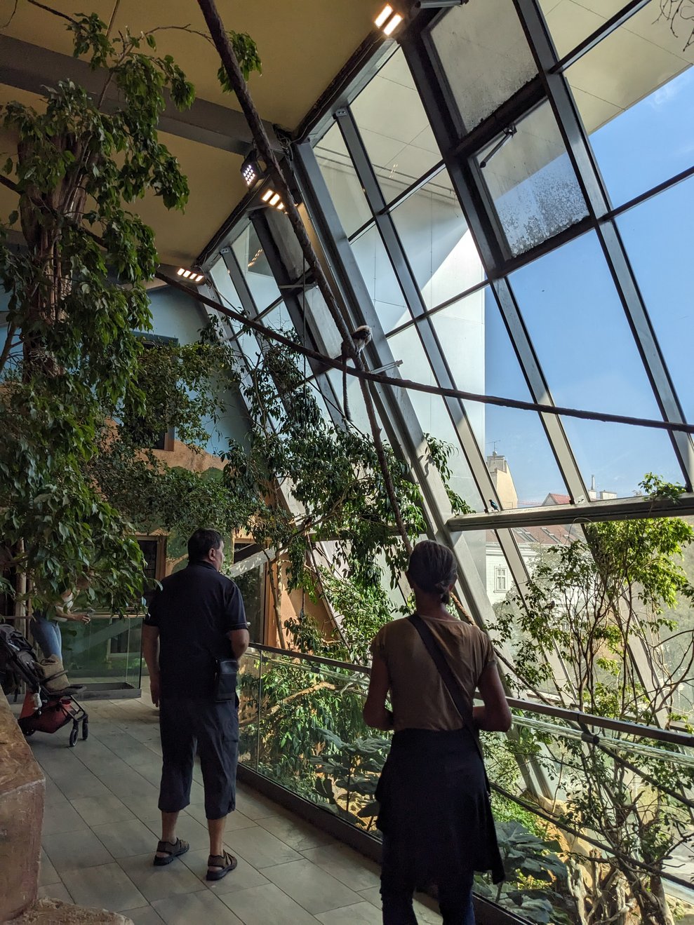 Besonders schön und "tropisch"...