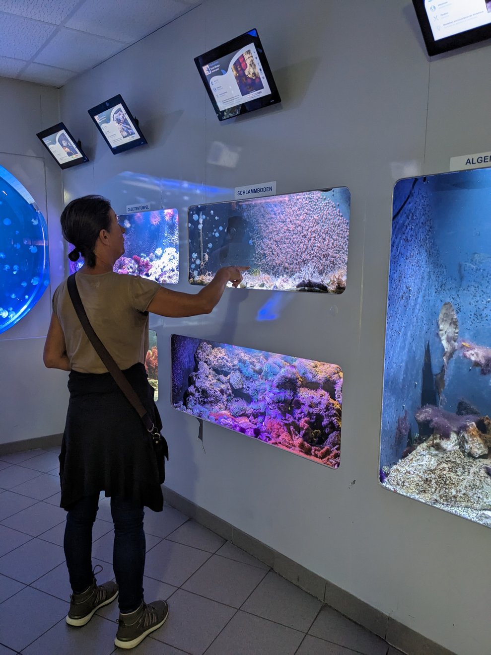 Doch auch in den kleinen Aquarien...