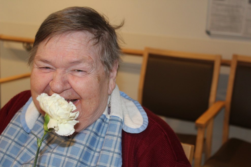 und Bewohnerinnen,...