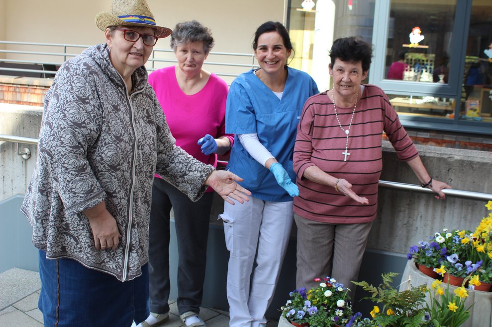 auch heuer wieder wunderschöne Frühlingsboten.