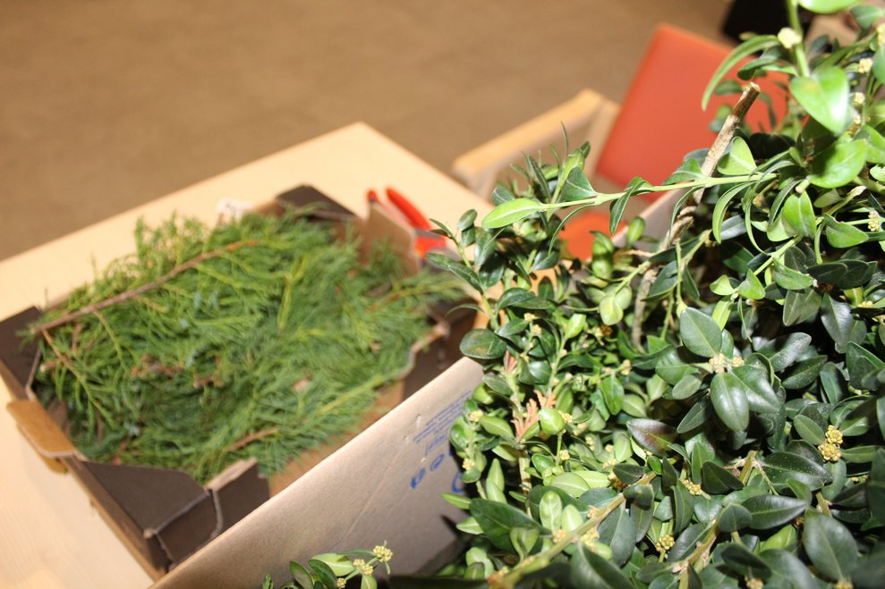 Von unserer Ehrenamtskoordinatorin Sandra Krcmar...