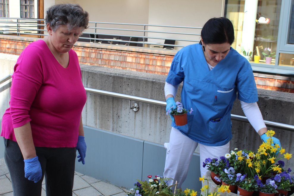 pflanzten unsere Bewohnerinnen und Bewohner...