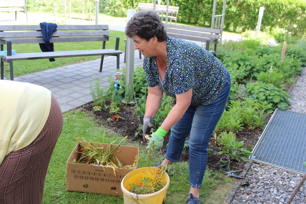bevor es zum nächsten Beet ging.