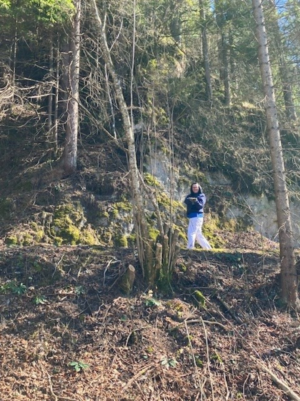 Mit vollem Einsatz wurden die schönsten Materialien...